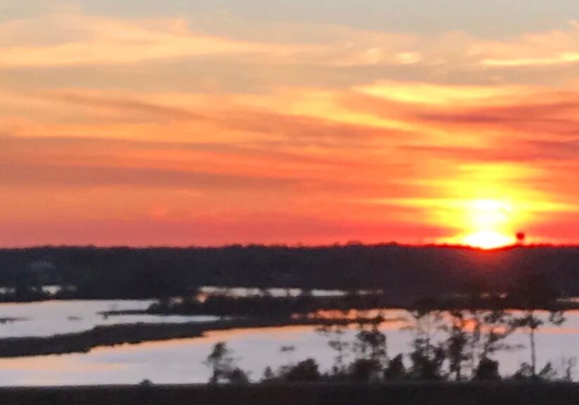 Moss Point Community Bg