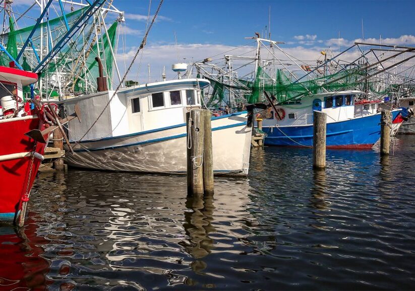 Waveland