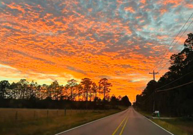 vancleave